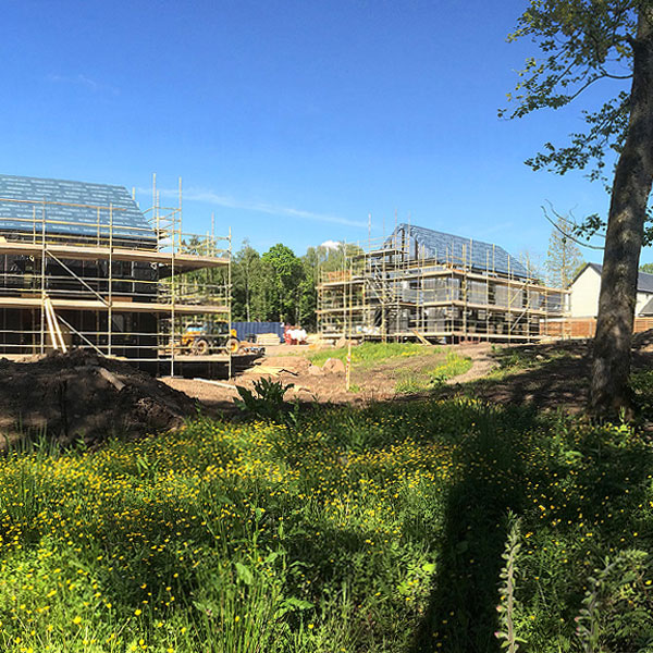 View of Plots 7 and 9 from the South